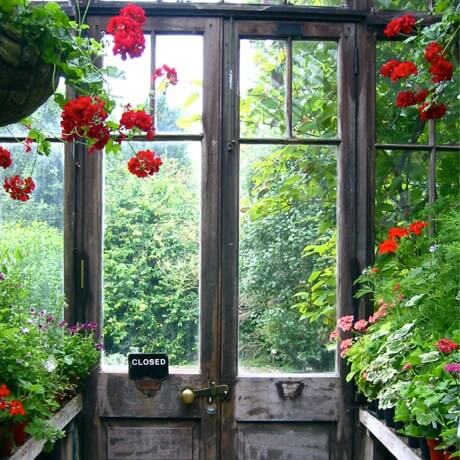 An old greenhouse