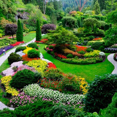 Winding garden path