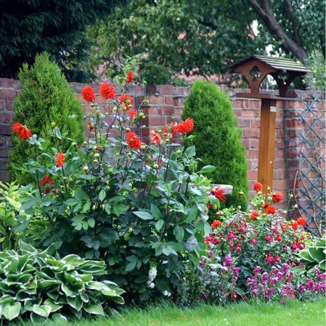 A birdfeeder